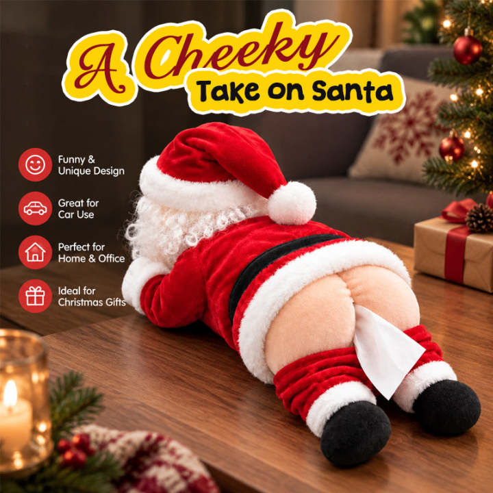 Funny Christmas Tissue Box Cover